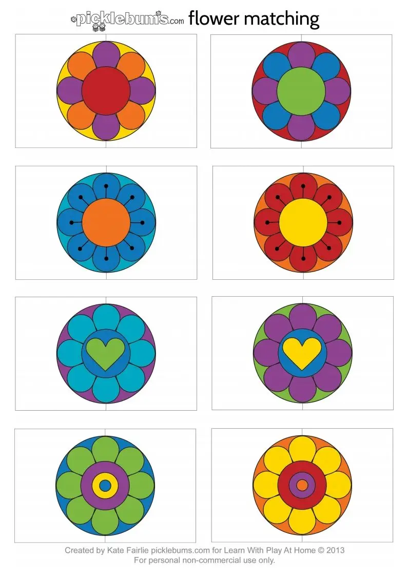 记忆卡片12-方舟智库