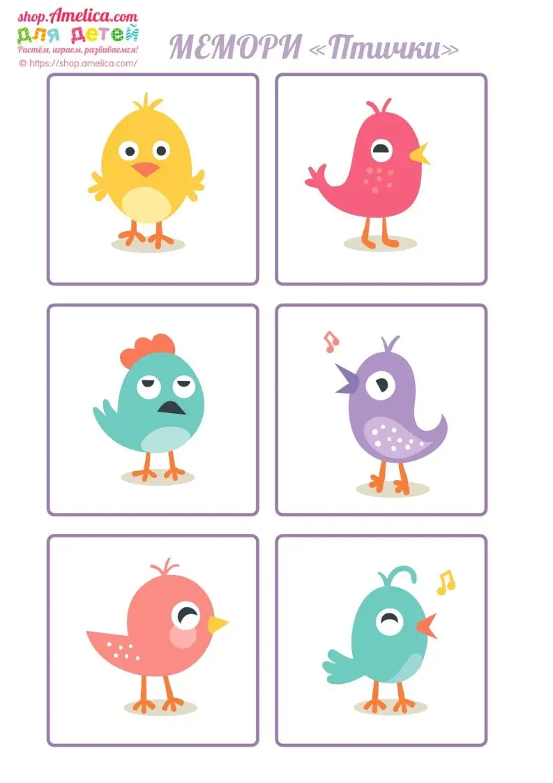 记忆卡片13-方舟智库